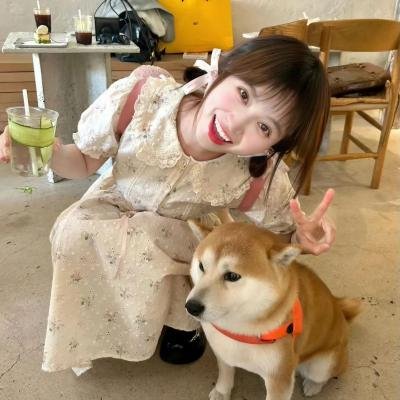 街头小游侠封面